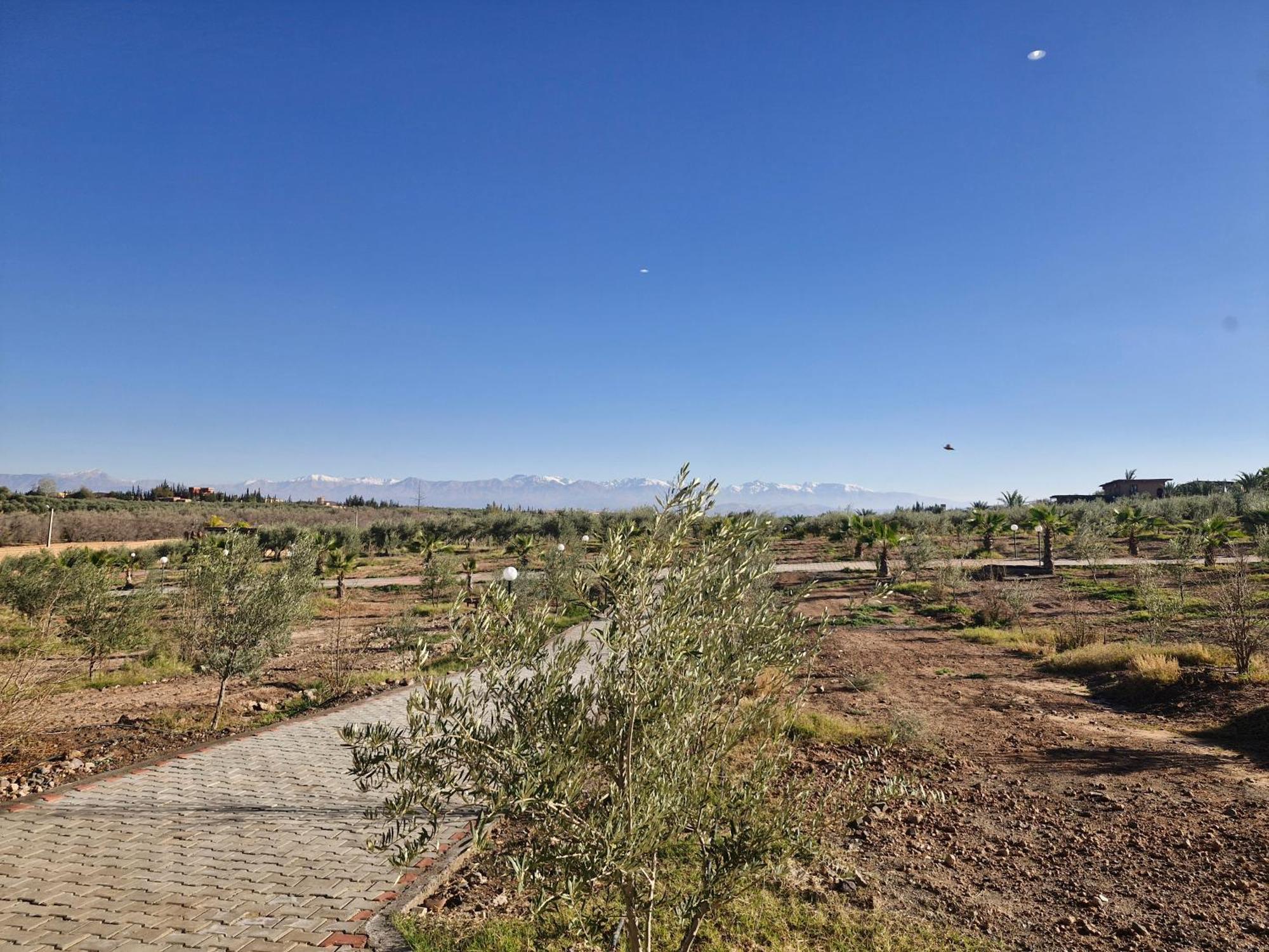 Le Parc Des Oliviers Hotel Hrabil Saada Exterior photo