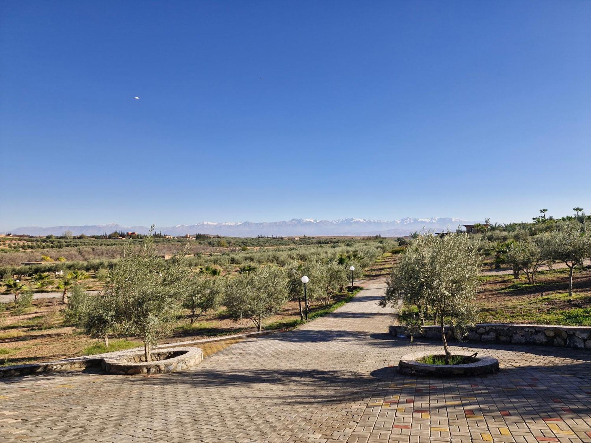 Le Parc Des Oliviers Hotel Hrabil Saada Exterior photo