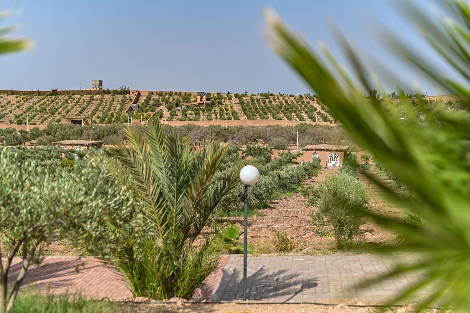 Le Parc Des Oliviers Hotel Hrabil Saada Exterior photo