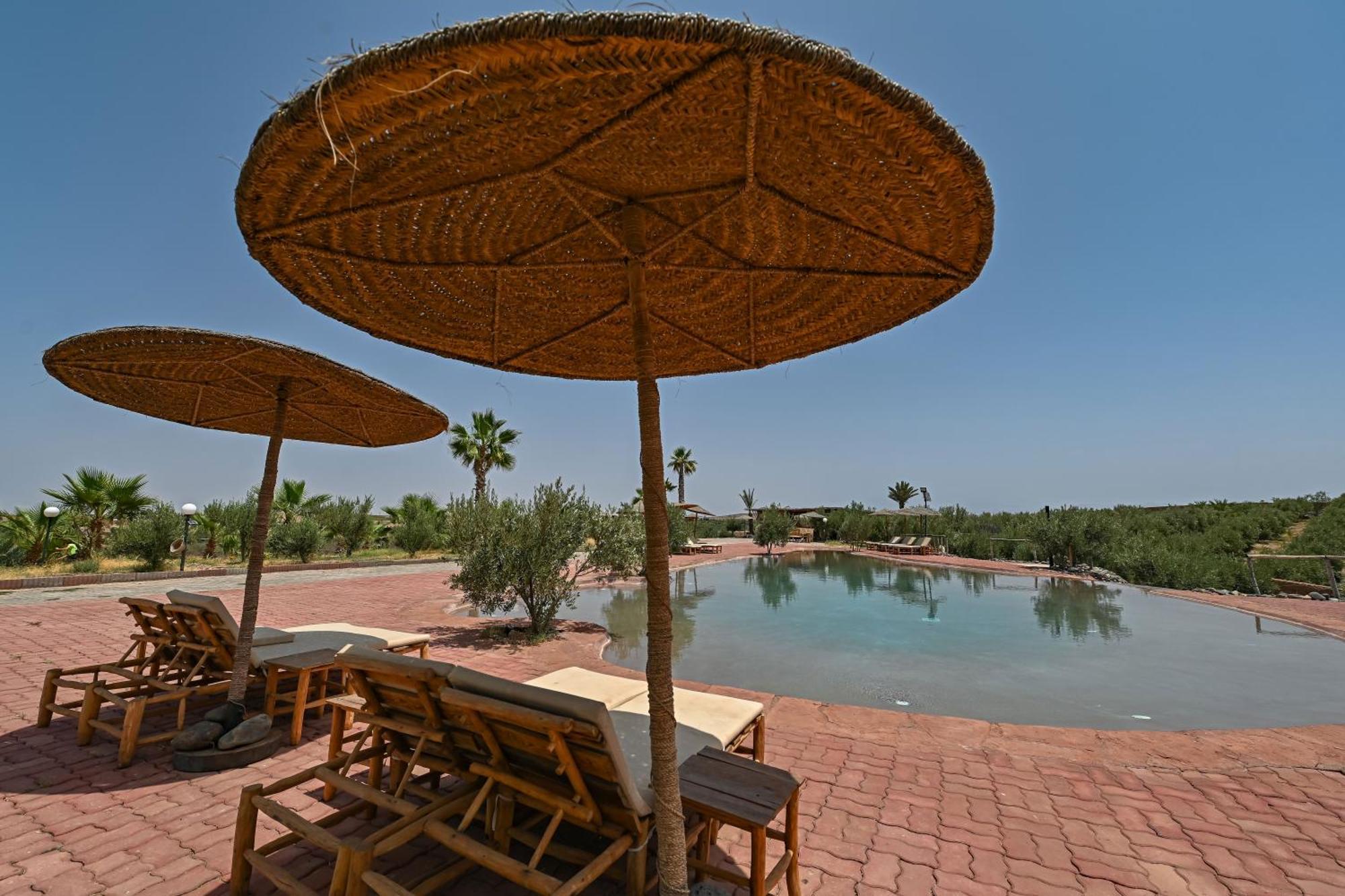 Le Parc Des Oliviers Hotel Hrabil Saada Exterior photo